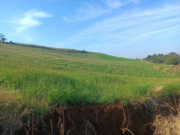 Propriedade Rural - Venda