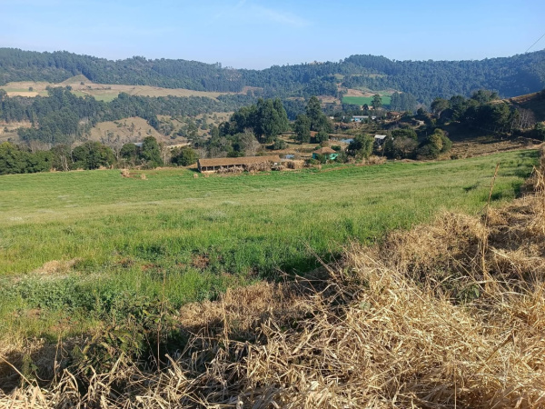 Propriedade Rural - Venda