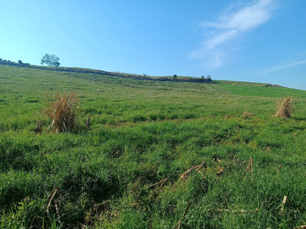 Propriedade Rural - Venda