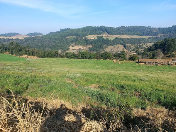 Propriedade Rural - Venda