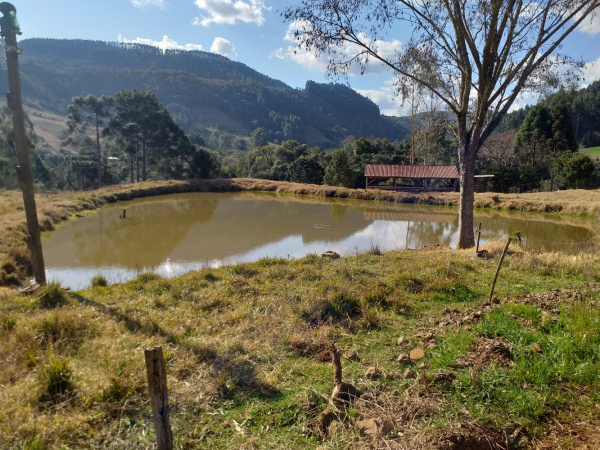 Propriedade Rural - Venda