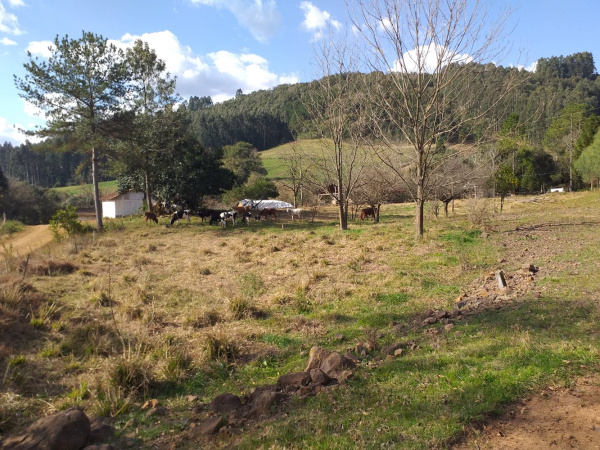 Propriedade Rural - Venda