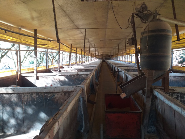 Propriedade Rural - Venda