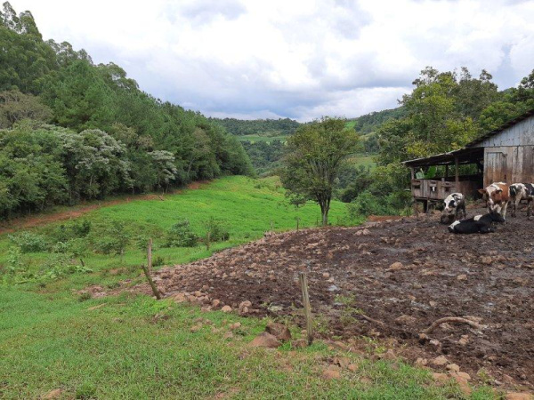 Propriedade Rural - Venda