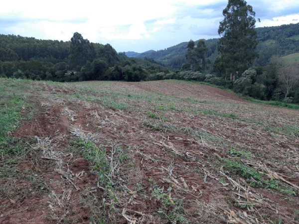 Propriedade Rural - Venda