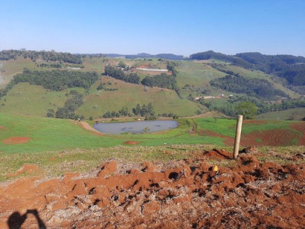 Propriedade Rural - Venda