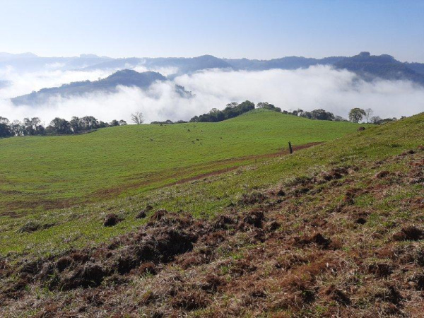 Propriedade Rural - Venda