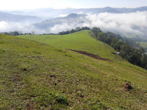 Propriedade Rural - Venda