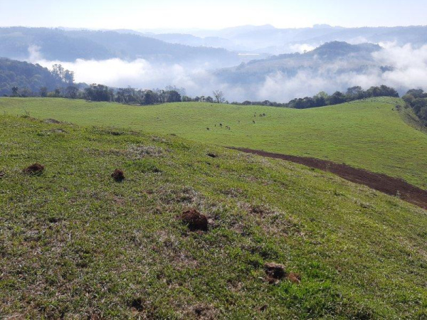 Propriedade Rural - Venda