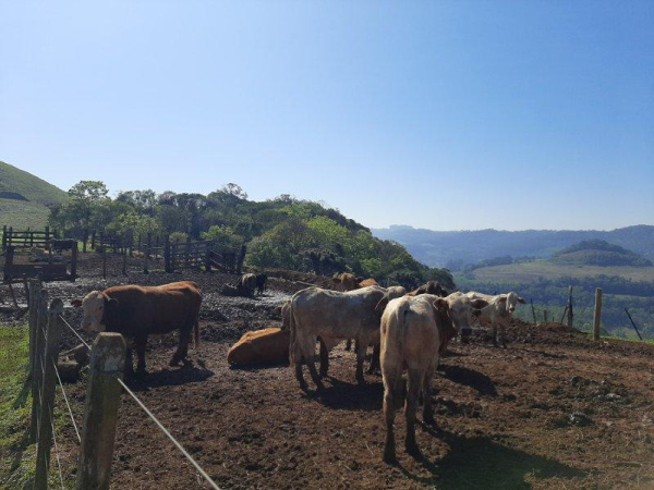 Propriedade Rural - Venda