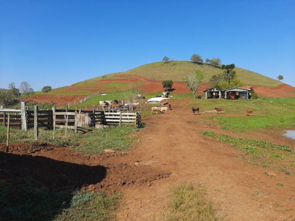 Propriedade Rural - Venda
