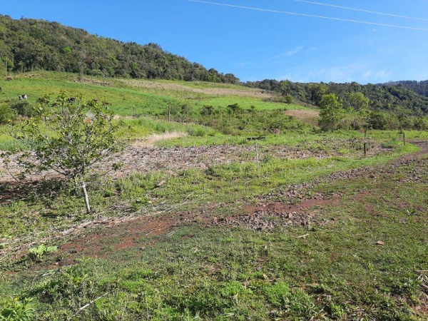 Propriedade Rural - Venda