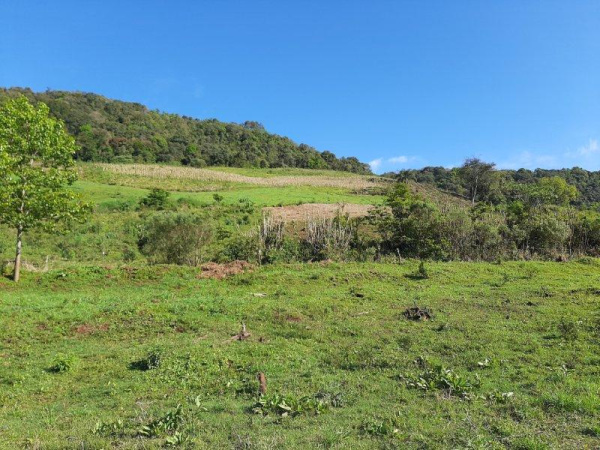 Propriedade Rural - Venda