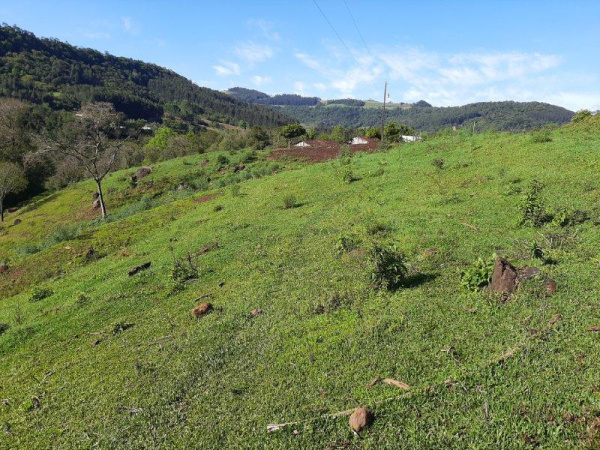 Propriedade Rural - Venda