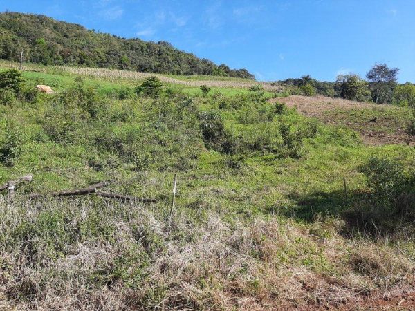 Propriedade Rural - Venda