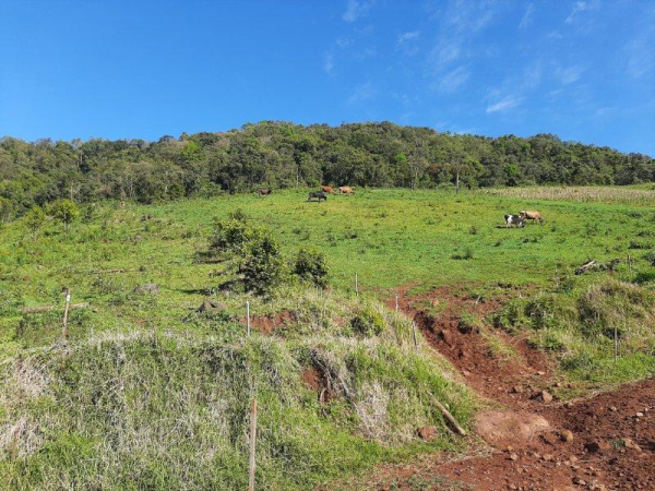 Propriedade Rural - Venda