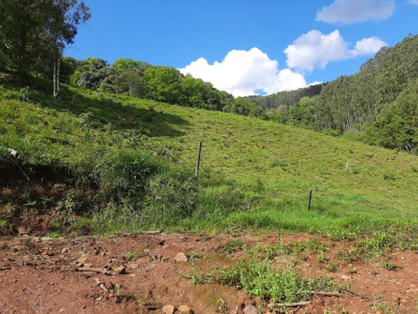 Propriedade Rural - Venda