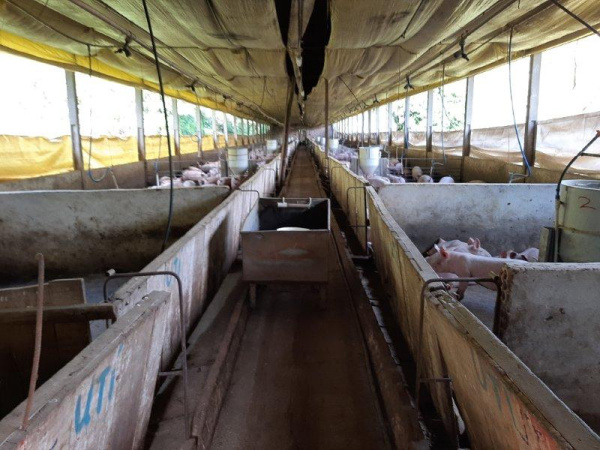 Propriedade Rural - Venda