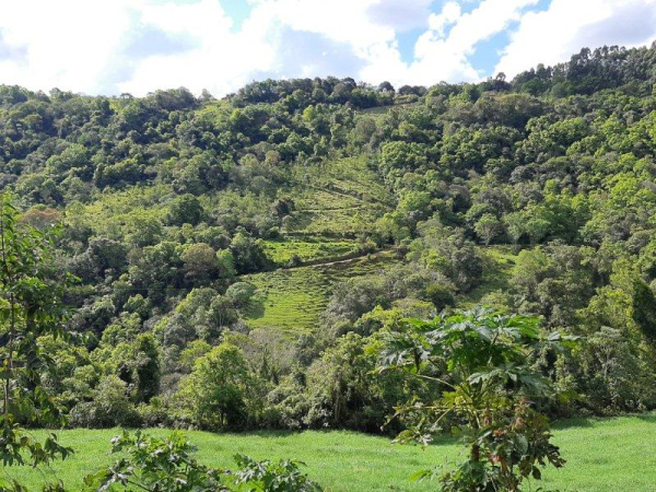 Propriedade Rural - Venda