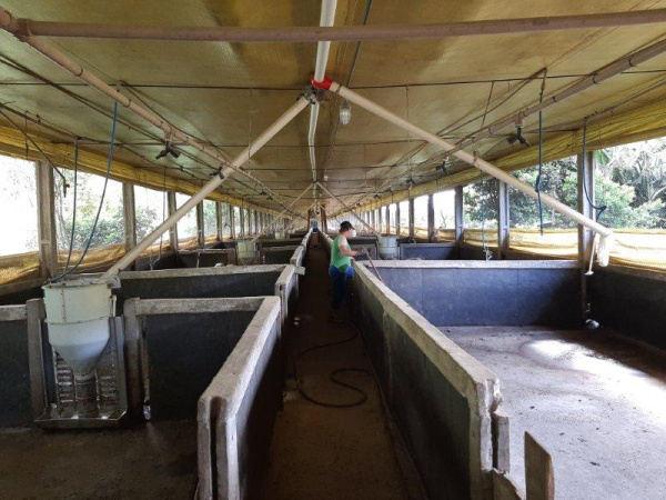 Propriedade Rural - Venda