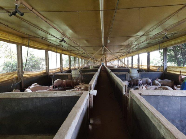 Propriedade Rural - Venda