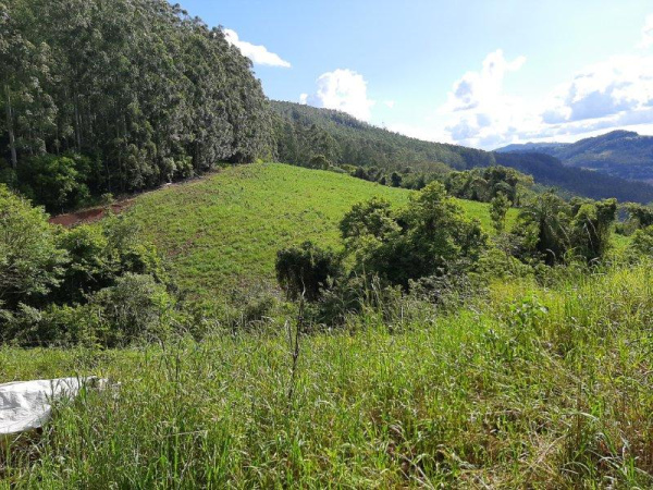 Propriedade Rural - Venda