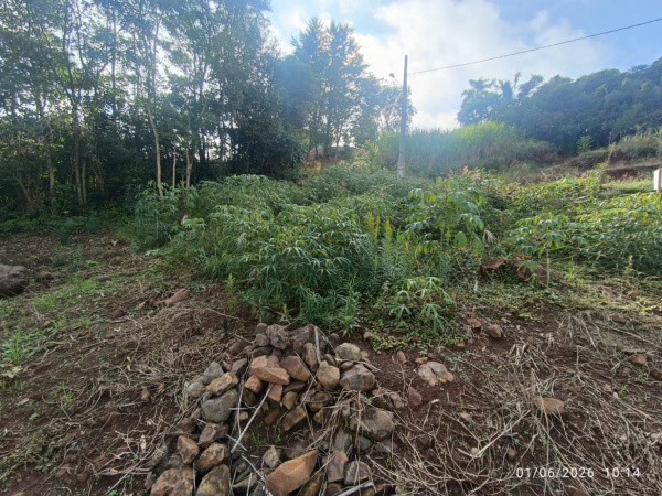 Terrenos - Venda