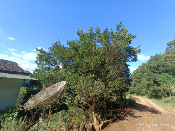 Propriedade Rural - Venda