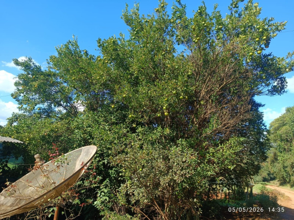 Propriedade Rural - Venda