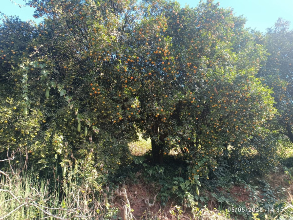Propriedade Rural - Venda