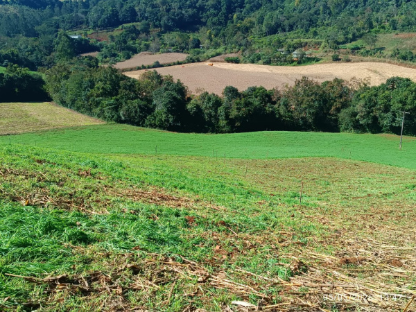 Propriedade Rural - Venda