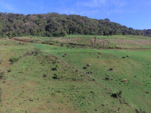 Propriedade Rural - Venda