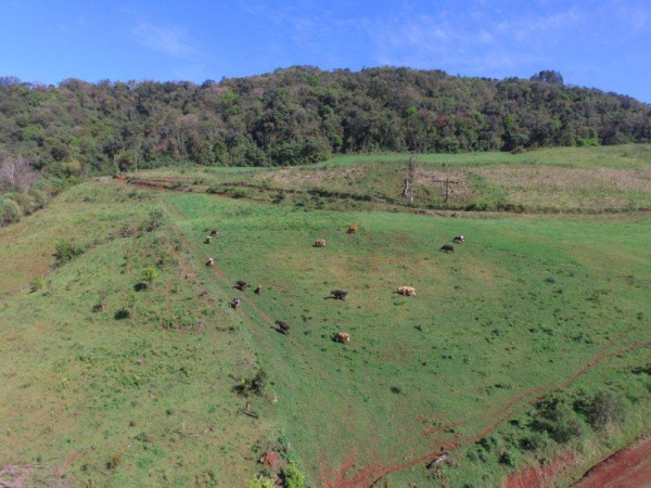 Propriedade Rural - Venda