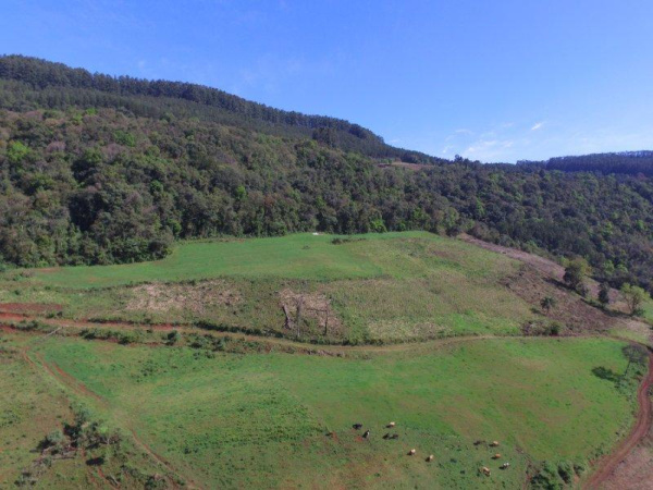 Propriedade Rural - Venda