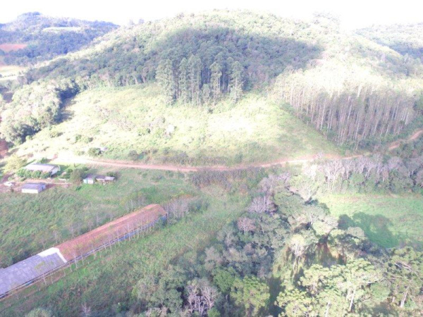 Propriedade Rural - Venda