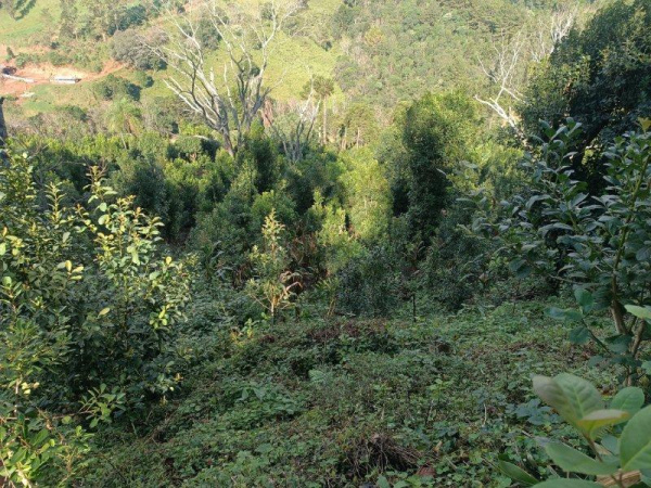 Propriedade Rural - Venda