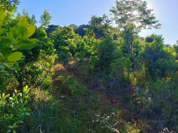 Propriedade Rural - Venda