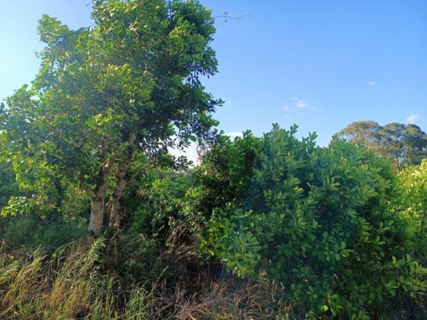 Propriedade Rural - Venda