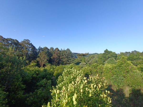 Propriedade Rural - Venda