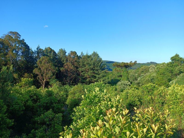 Propriedade Rural - Venda