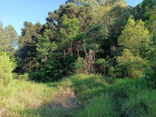 Propriedade Rural - Venda