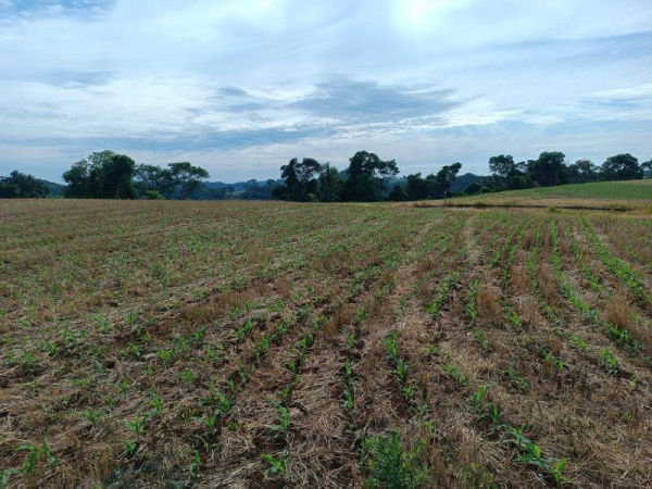 Propriedade Rural - Venda