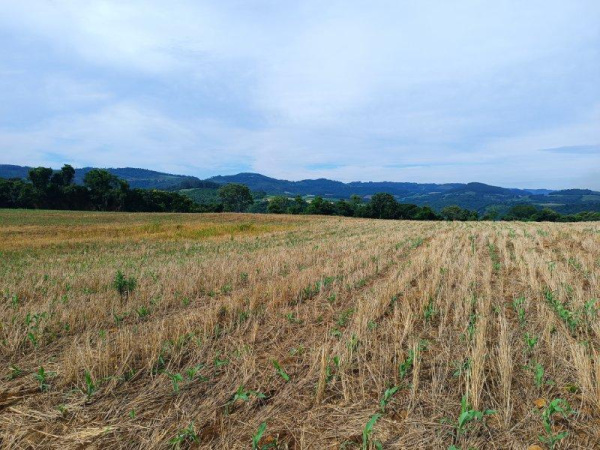 Propriedade Rural - Venda