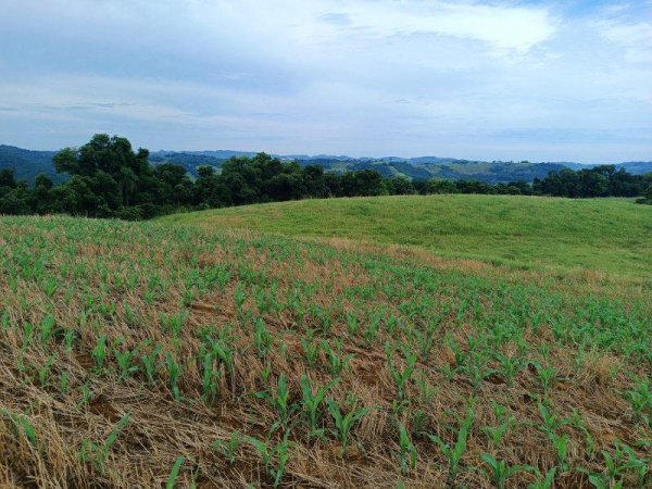 Propriedade Rural - Venda