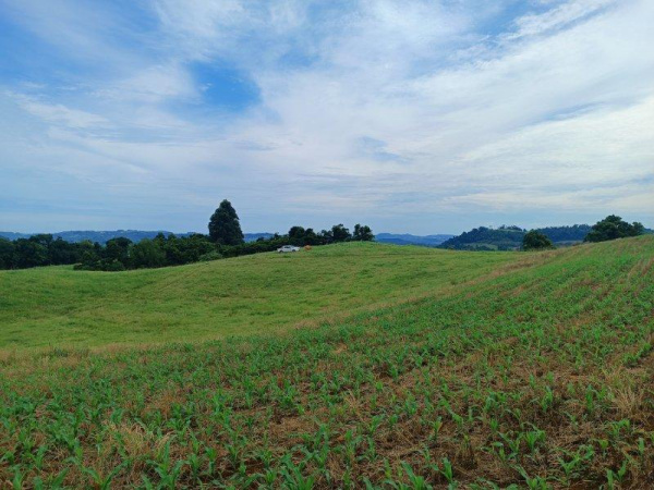 Propriedade Rural - Venda