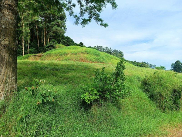 Propriedade Rural - Venda