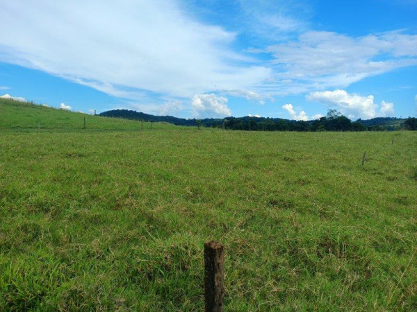 Propriedade Rural - Venda