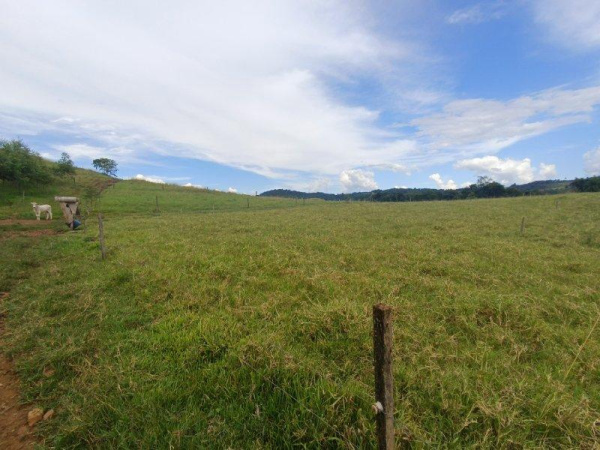 Propriedade Rural - Venda