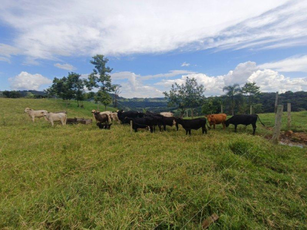 Propriedade Rural - Venda