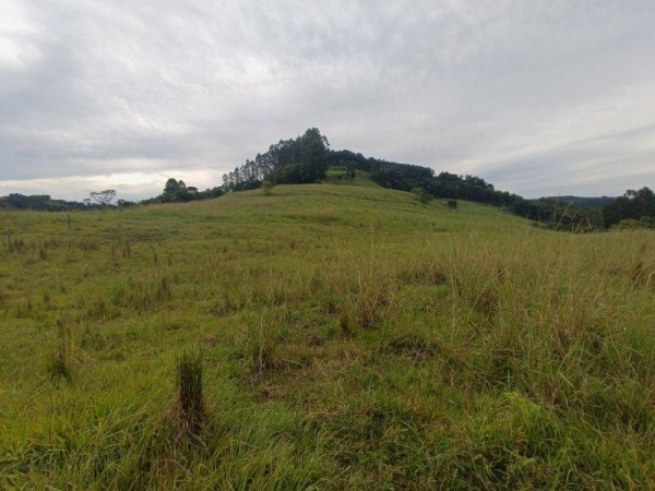 Propriedade Rural - Venda